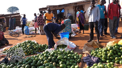 探访非洲最穷国家批发市场,芒果像米一样多,每个一块钱还香甜